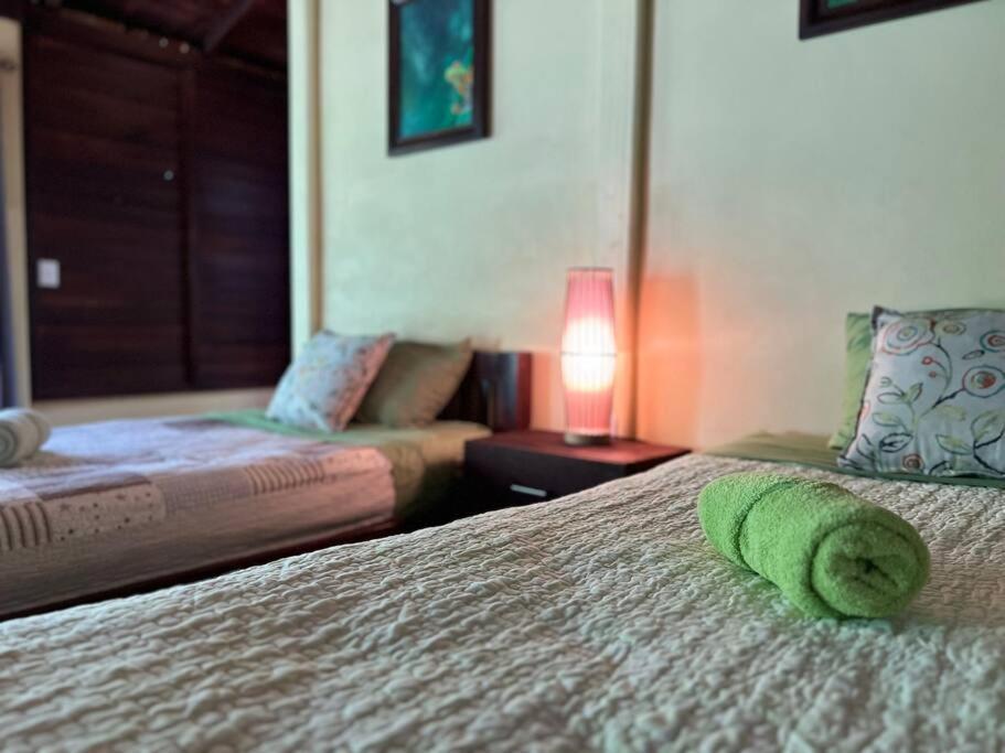 Casita Lidia Bijagua Bed & Breakfast ภายนอก รูปภาพ