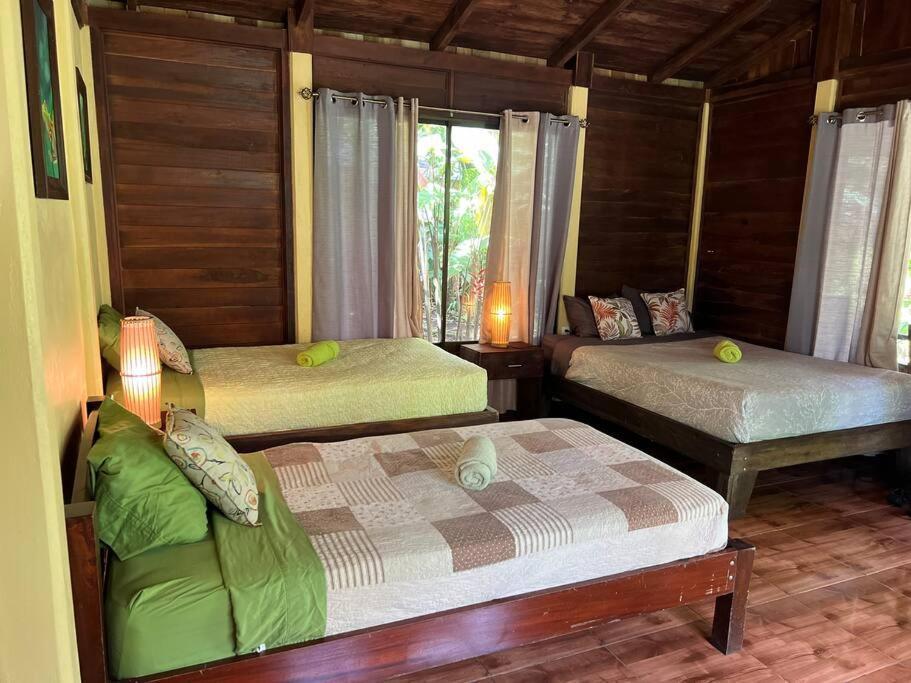 Casita Lidia Bijagua Bed & Breakfast ภายนอก รูปภาพ
