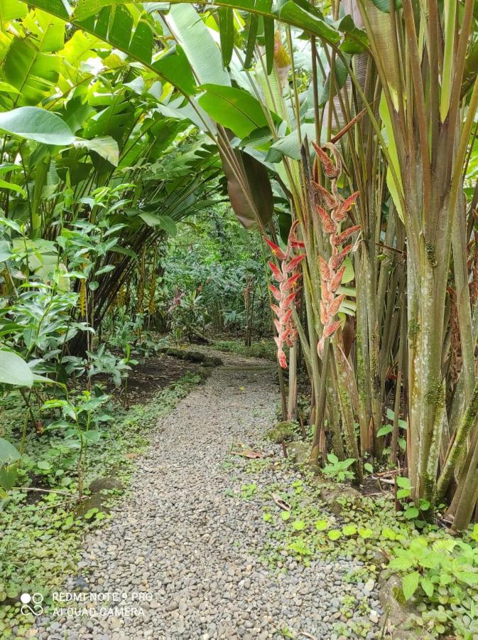 Casita Lidia Bijagua Bed & Breakfast ภายนอก รูปภาพ