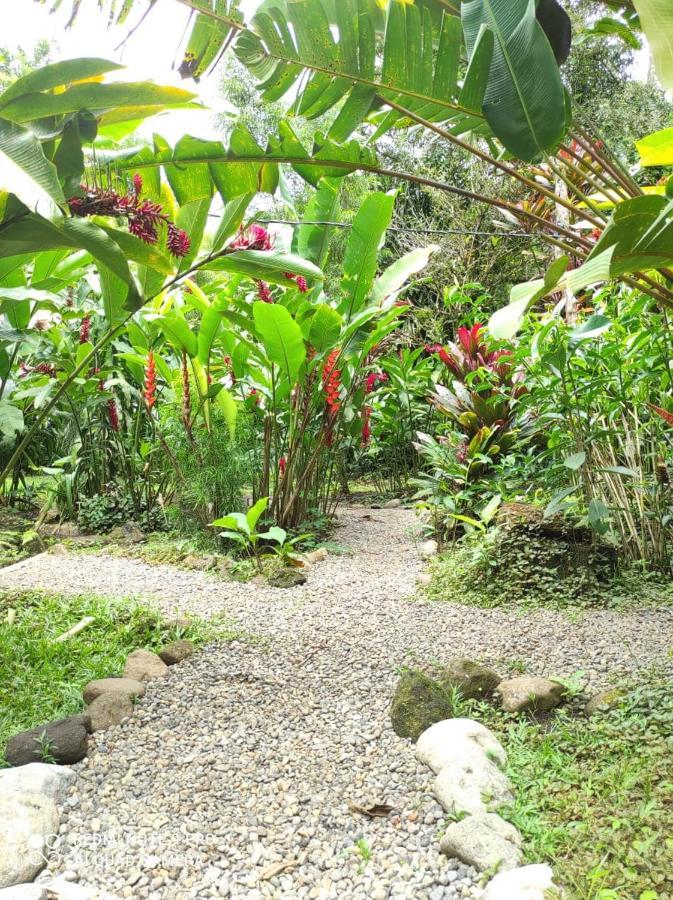 Casita Lidia Bijagua Bed & Breakfast ภายนอก รูปภาพ